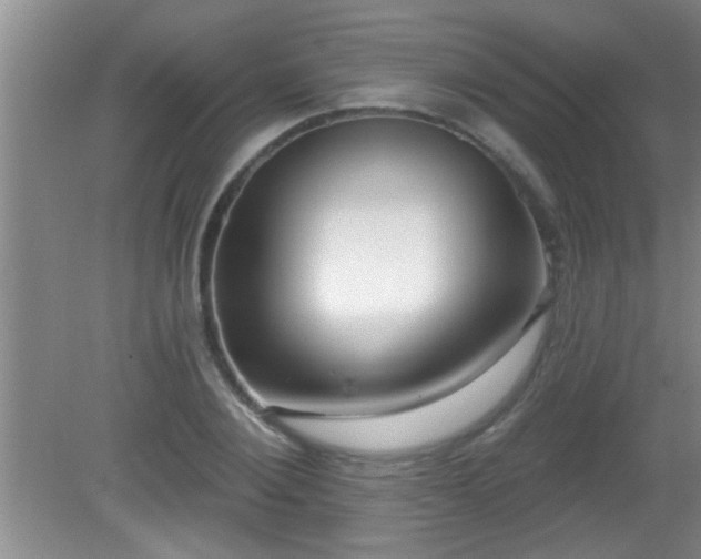 X0000081480884200701191829