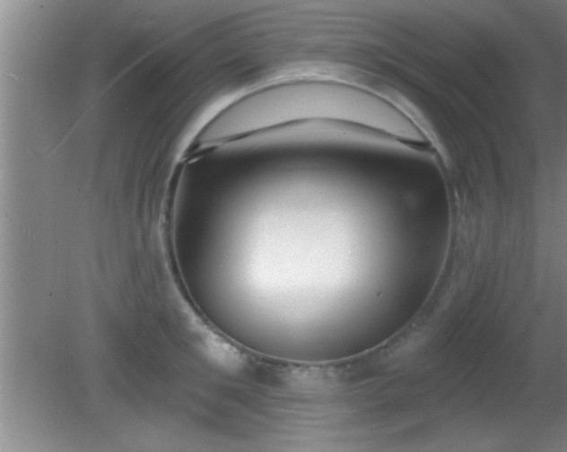 X0000081480901200701191829