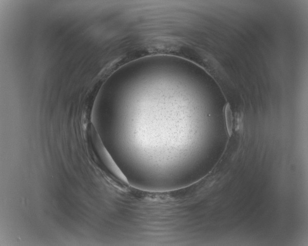X0000081480915200701191828