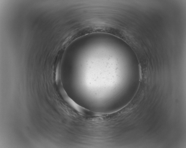 X0000081480916200701191828