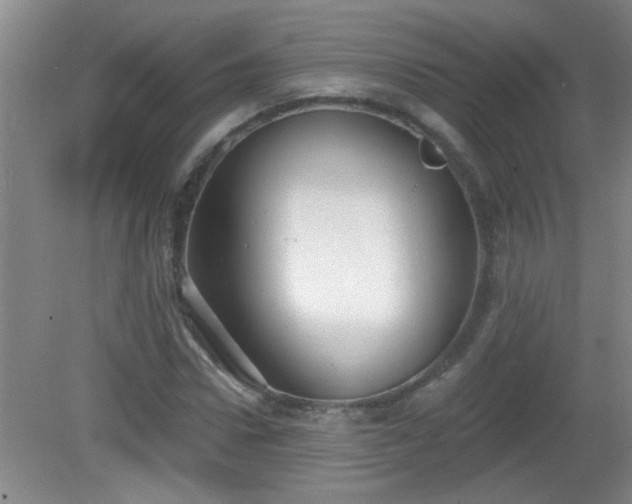X0000081480922200701191828