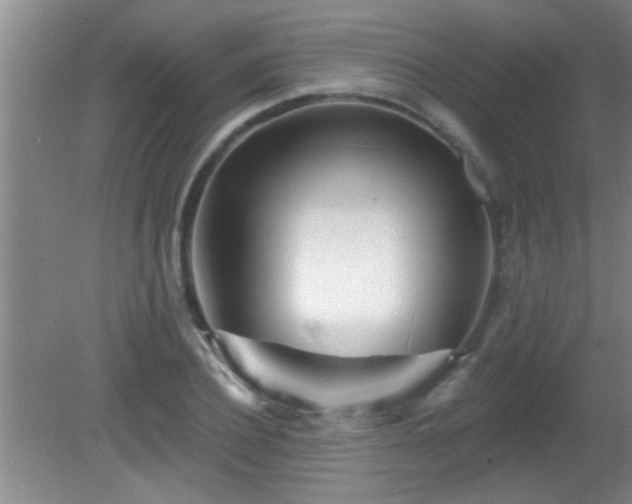 X0000081480932200701191828