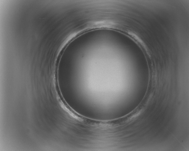 X0000081480941200701191829