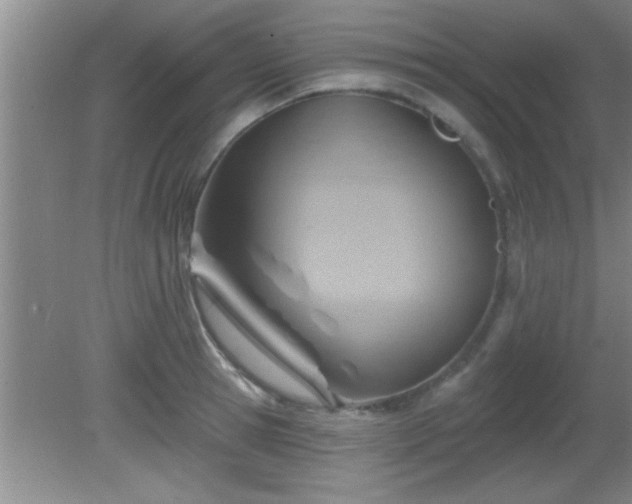 X0000081480945200701191829