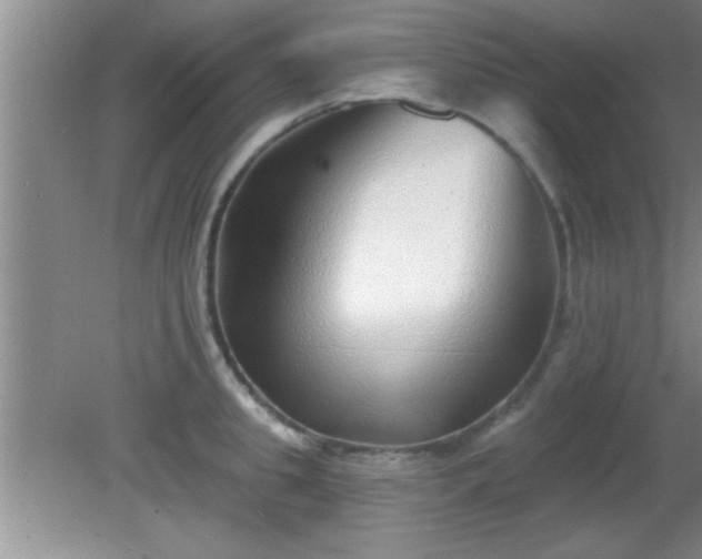 X0000081480949200701191829