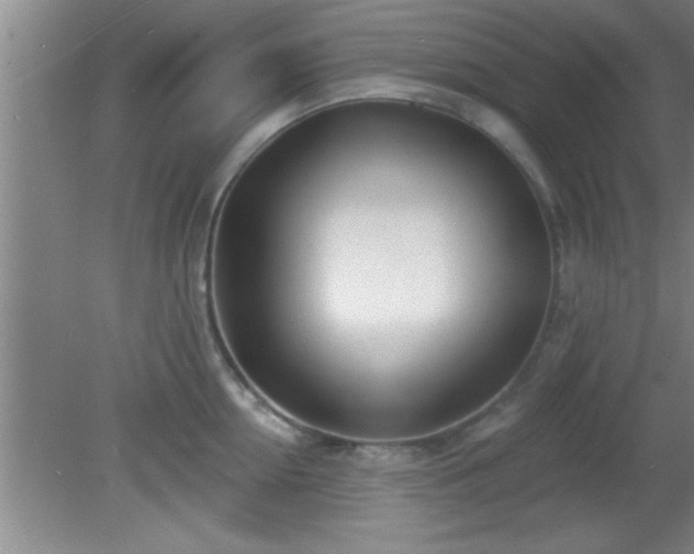 X0000081480954200701191829