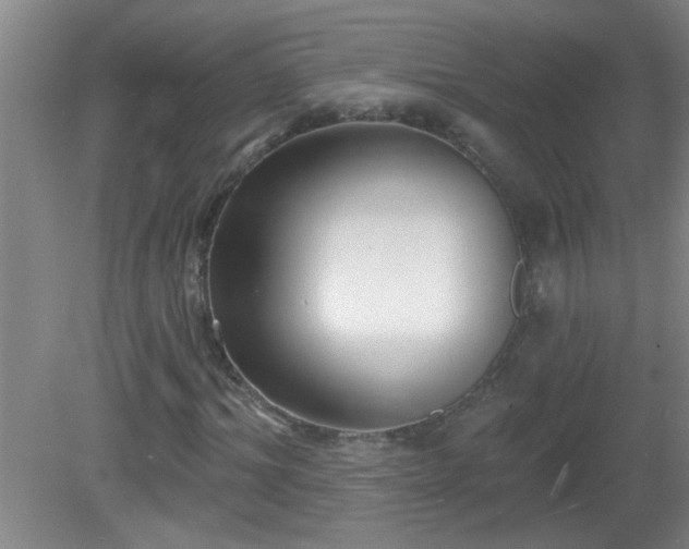 X0000081480964200701191828