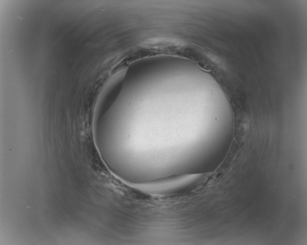X0000081480965200701191828