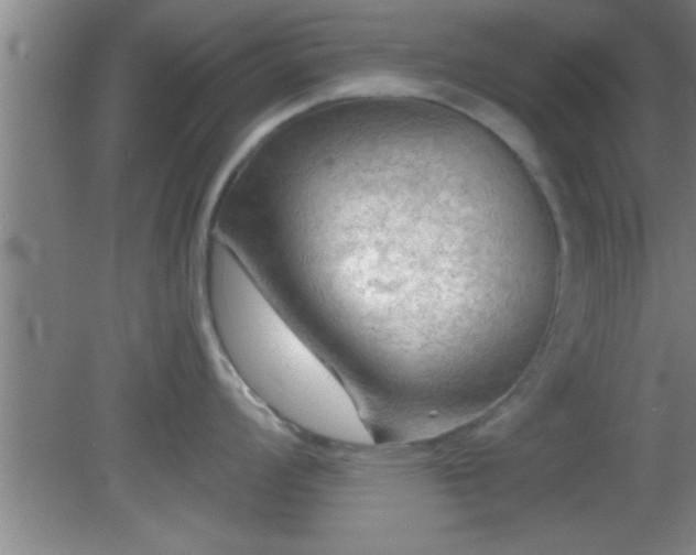 X0000081481008200701191827