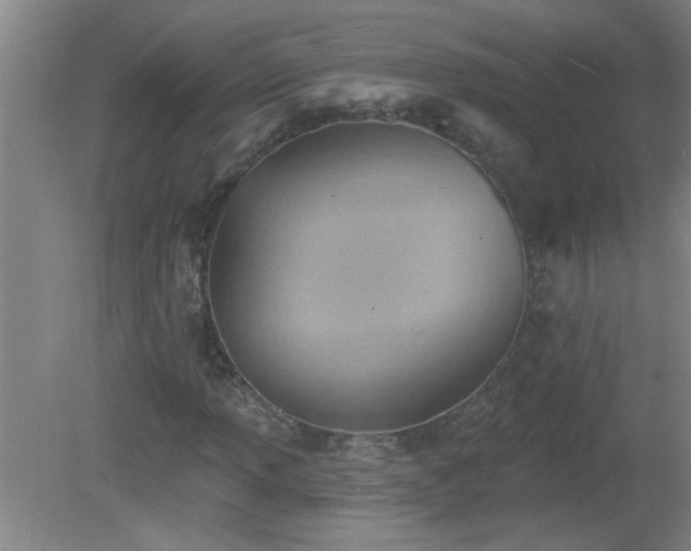 X0000081481013200701191827