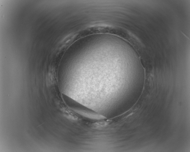 X0000081481014200701191827