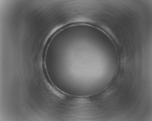X0000081481024200701191827