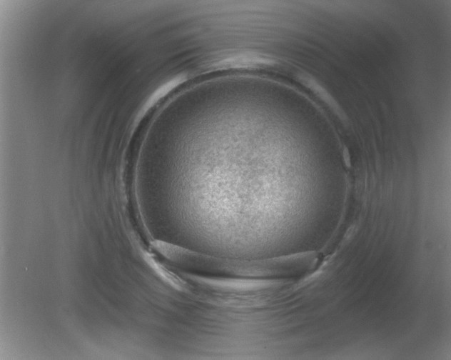 X0000081481026200701191827