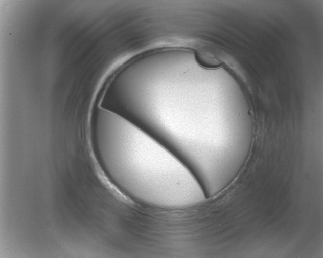 X0000081481080200701191826