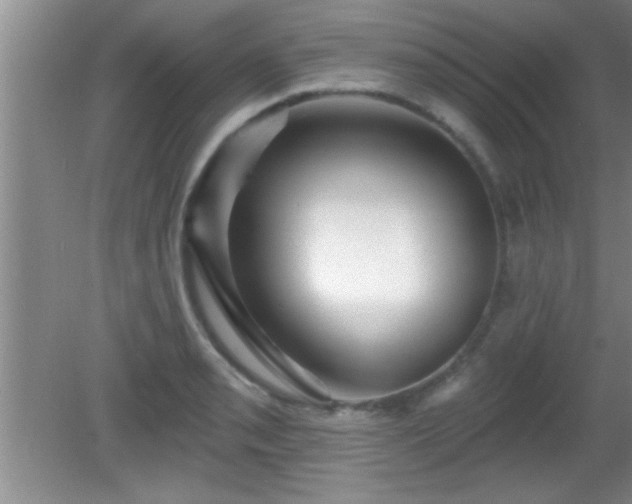 X0000081481085200701191826
