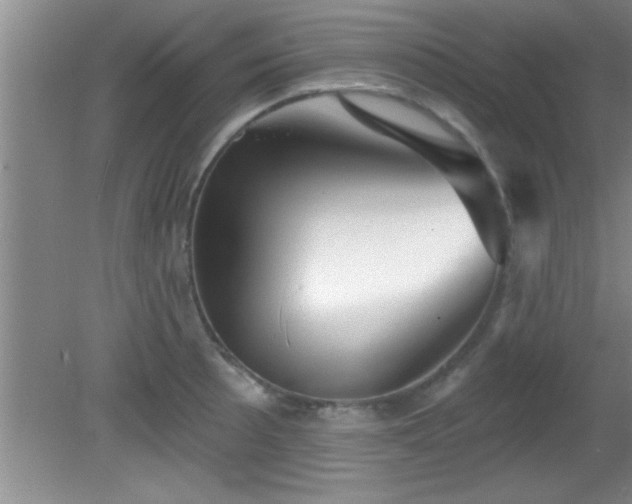 X0000081481089200701191826