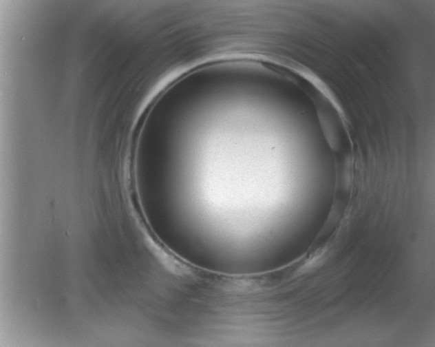 X0000081481101200701191826