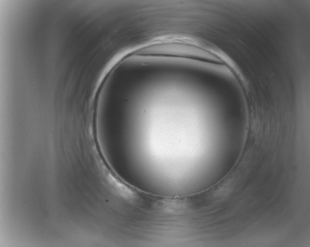 X0000081481102200701191826