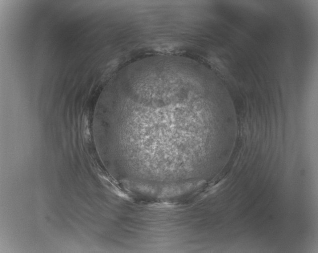 X0000081481106200701191825