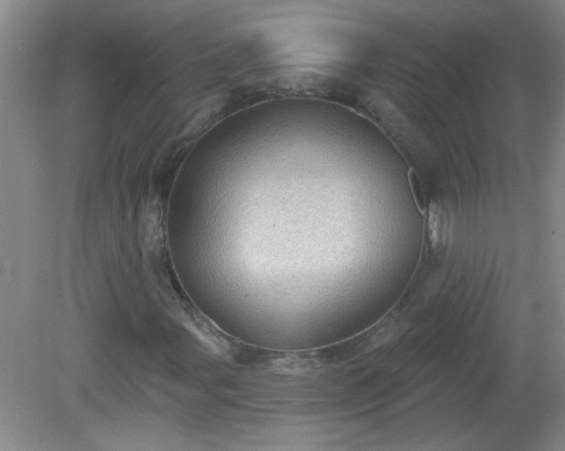 X0000081481107200701191825