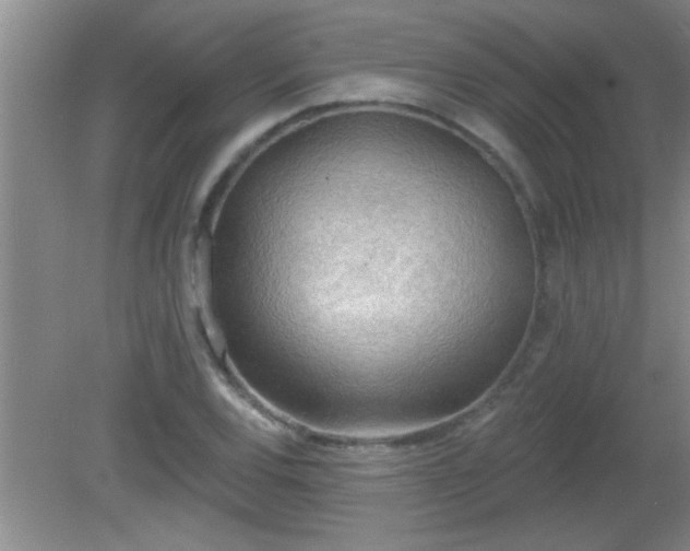 X0000081481120200701191825