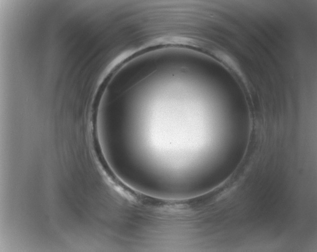 X0000081481133200701191825