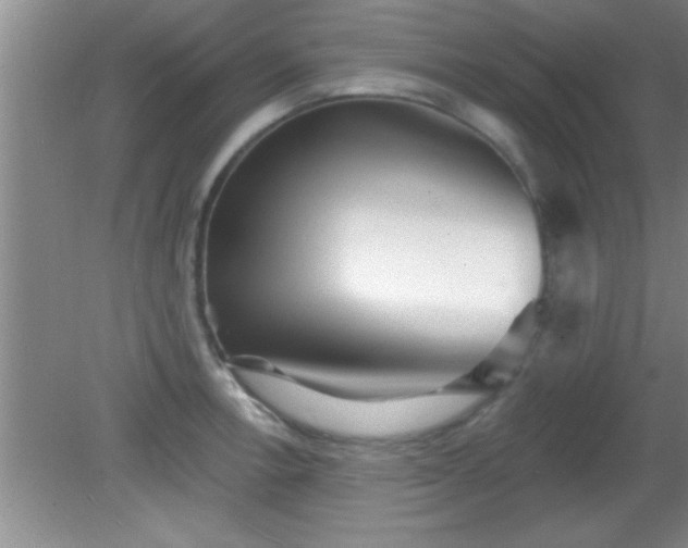 X0000081481138200701191825