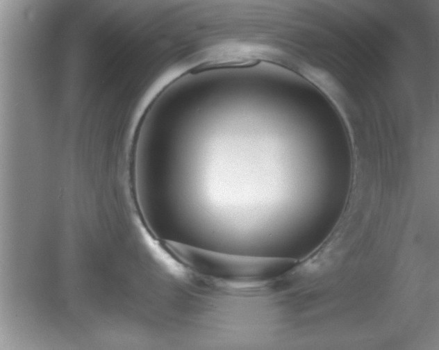 X0000081481152200701191826