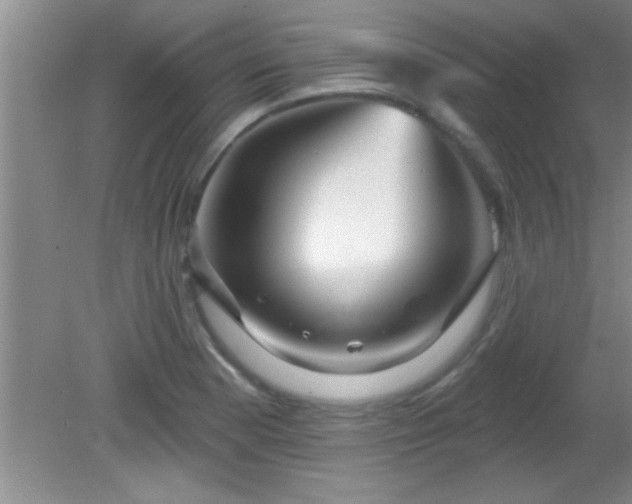 X0000081481177200701191825