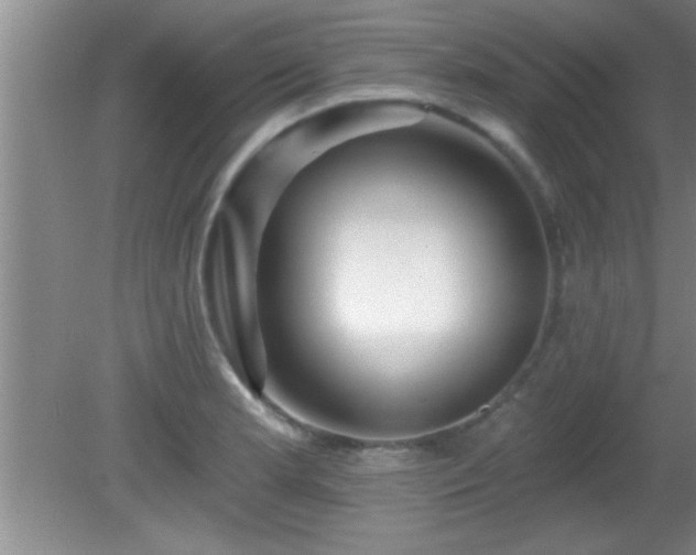 X0000081481181200701191824