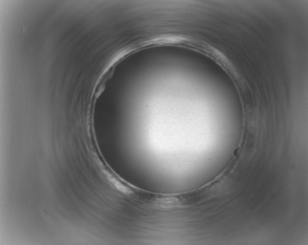 X0000081481186200701191824