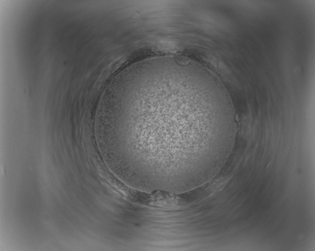 X0000081481201200701191823