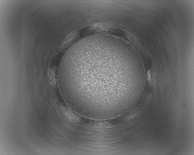 X0000081481203200701191823