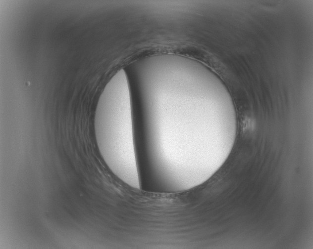 X0000081481204200701191823