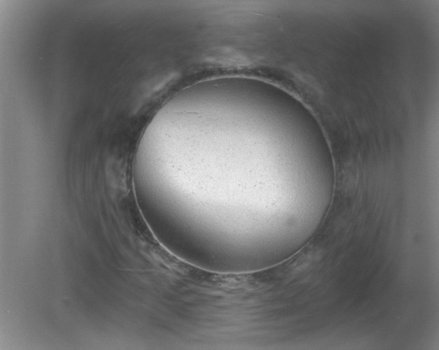 X0000081481205200701191823