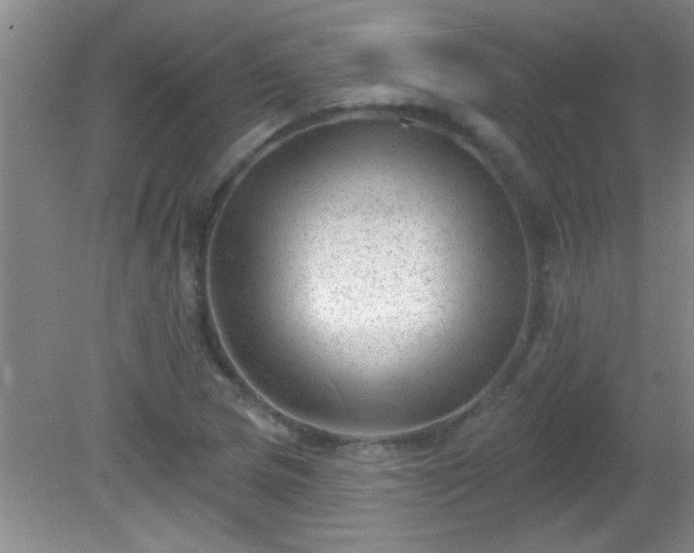 X0000081481217200701191824