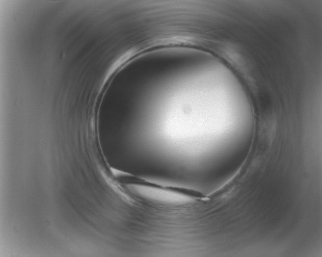 X0000081481234200701191824