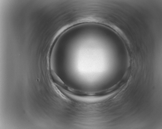 X0000081481238200701191824