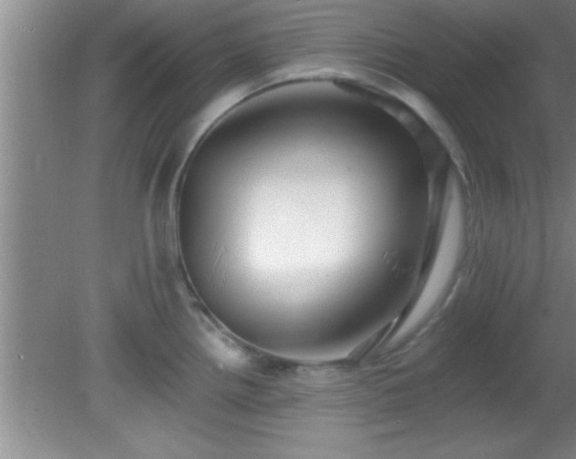 X0000081481242200701191824
