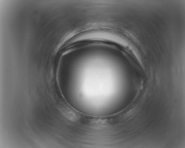 X0000081481261200701191823
