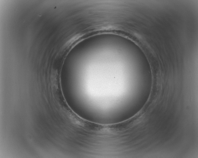 X0000081481265200701191823