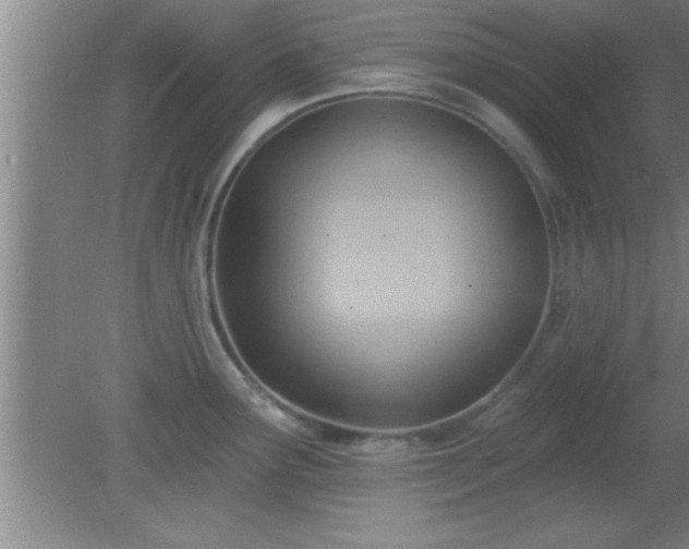 X0000081481291200701191823
