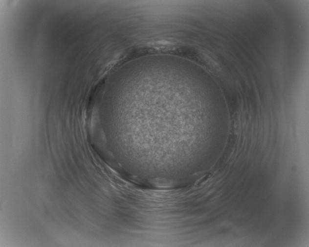 X0000081481298200701191822