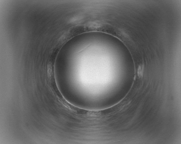 X0000081481299200701191822