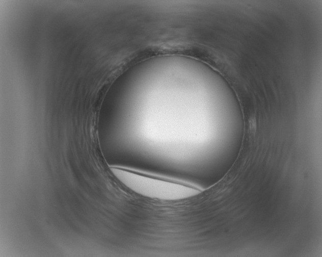 X0000081481300200701191822