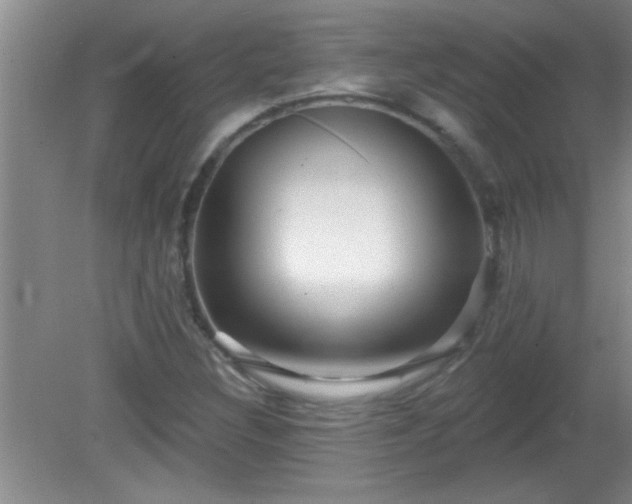 X0000081481308200701191822