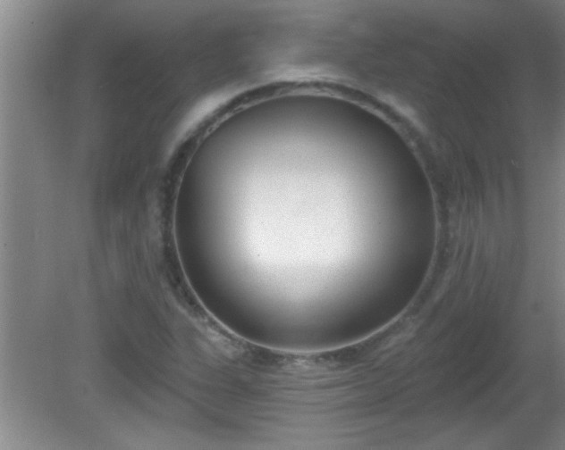 X0000081481311200701191822