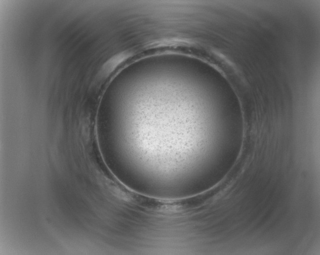 X0000081481313200701191822