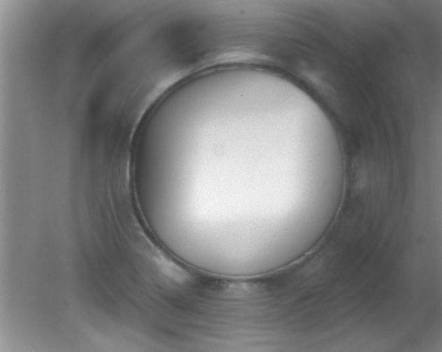 X0000081481322200701191822