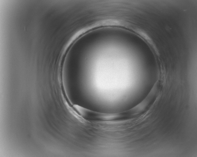 X0000081481342200701191822
